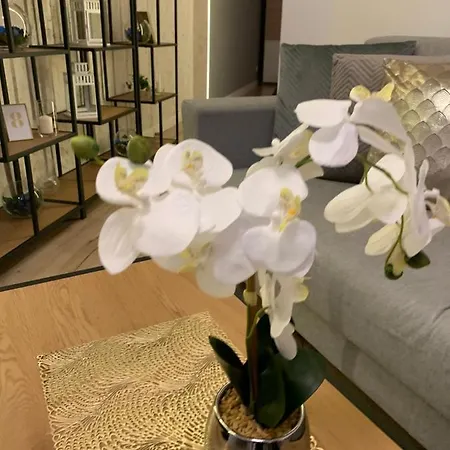 Moderno Apartamento *